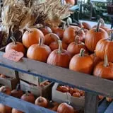 McKenna Family Farm photo