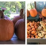 McKenna Family Farm photo