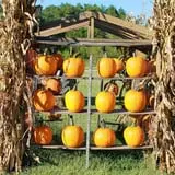 McKenna Family Farm photo