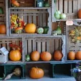 McKenna Family Farm photo