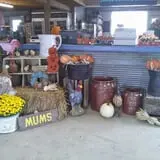 Jones Country Gardens photo
