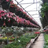 Jones Country Gardens photo