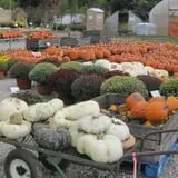 Jones Country Gardens photo