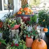 Jones Country Gardens photo
