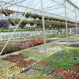 Jones Country Gardens photo