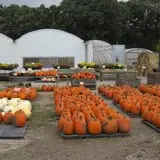 Jones Country Gardens photo