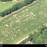 Fort Hill Farms Corn Maze Adventure photo