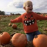 Gritt's Farm photo