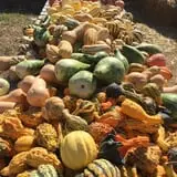 Gritt's Farm photo