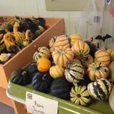 Gritt's Farm photo