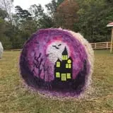 Gritt's Farm photo