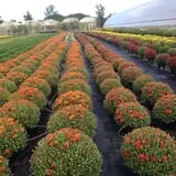 Gritt's Farm photo