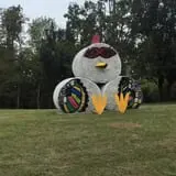 Gritt's Farm photo