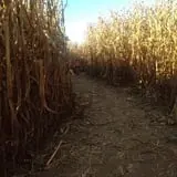 Gritt's Farm photo
