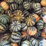 Gritt's Farm photo