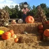 Gritt's Farm photo
