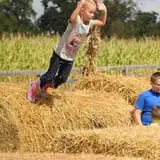 Gritt's Farm photo