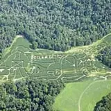 Gritt's Farm photo