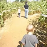 Gritt's Farm photo