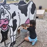 Gritt's Farm photo