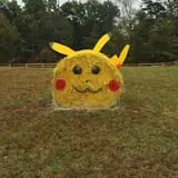 Gritt's Farm photo
