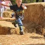 Gritt's Farm photo