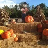 Gritt's Farm photo