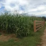 Gritt's Farm photo