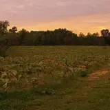 Gritt's Farm photo