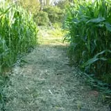 Gritt's Farm photo