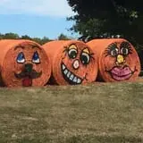 Gritt's Farm photo