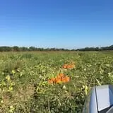 Gritt's Farm photo