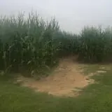 Gritt's Farm photo