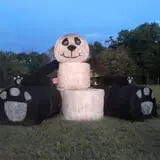 Gritt's Farm photo
