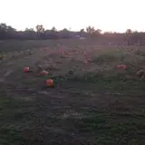 Gritt's Farm photo