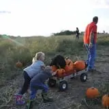 Gritt's Farm photo