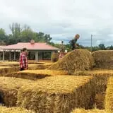 Gritt's Farm photo