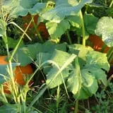 Gritt's Farm photo