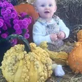 Gritt's Farm photo