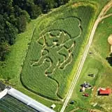 Gritt's Farm photo