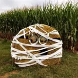 Gritt's Farm photo