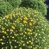 Gritt's Farm photo