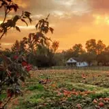 Gritt's Farm photo