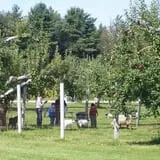 Washburn's Windy Hill Orchard photo