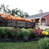 Washburn's Windy Hill Orchard photo