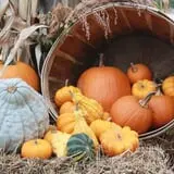 Washburn's Windy Hill Orchard photo