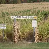 Washburn's Windy Hill Orchard photo