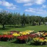 Washburn's Windy Hill Orchard photo
