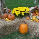 Washburn's Windy Hill Orchard photo