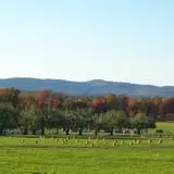 Washburn's Windy Hill Orchard photo